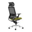 Scaun birou terapeutic Comfort, cu șezut mobil pe arc, tetieră reglabilă, brate 3D, suport lombar ajustabil și bază aluminiu, culoare verde-negru
