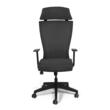 Scaun de birou ergonomic Udine - gri inchis