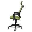 Scaun de birou ergonomic Verona - verde