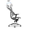 Scaun de birou ergonomic THE KING
