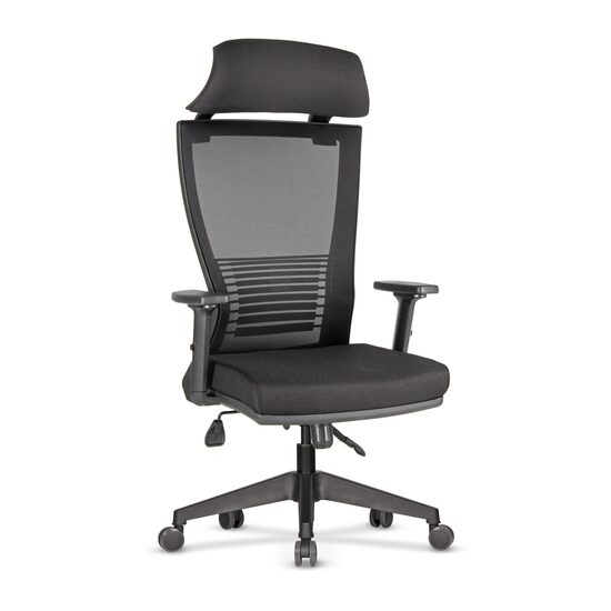 Scaun de birou ergonomic managerial TIFFANY 20