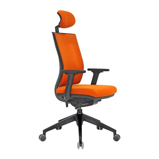 Scaun de birou ergonomic managerial ERMES 13