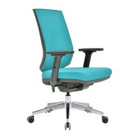 Scaun de birou ergonomic REGAL 05