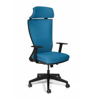 Scaun de birou ergonomic Udine - albastru