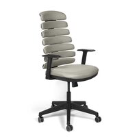 Scaun de birou ergonomic Salerno - gri deschis